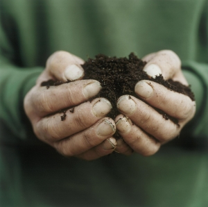 Soil_management