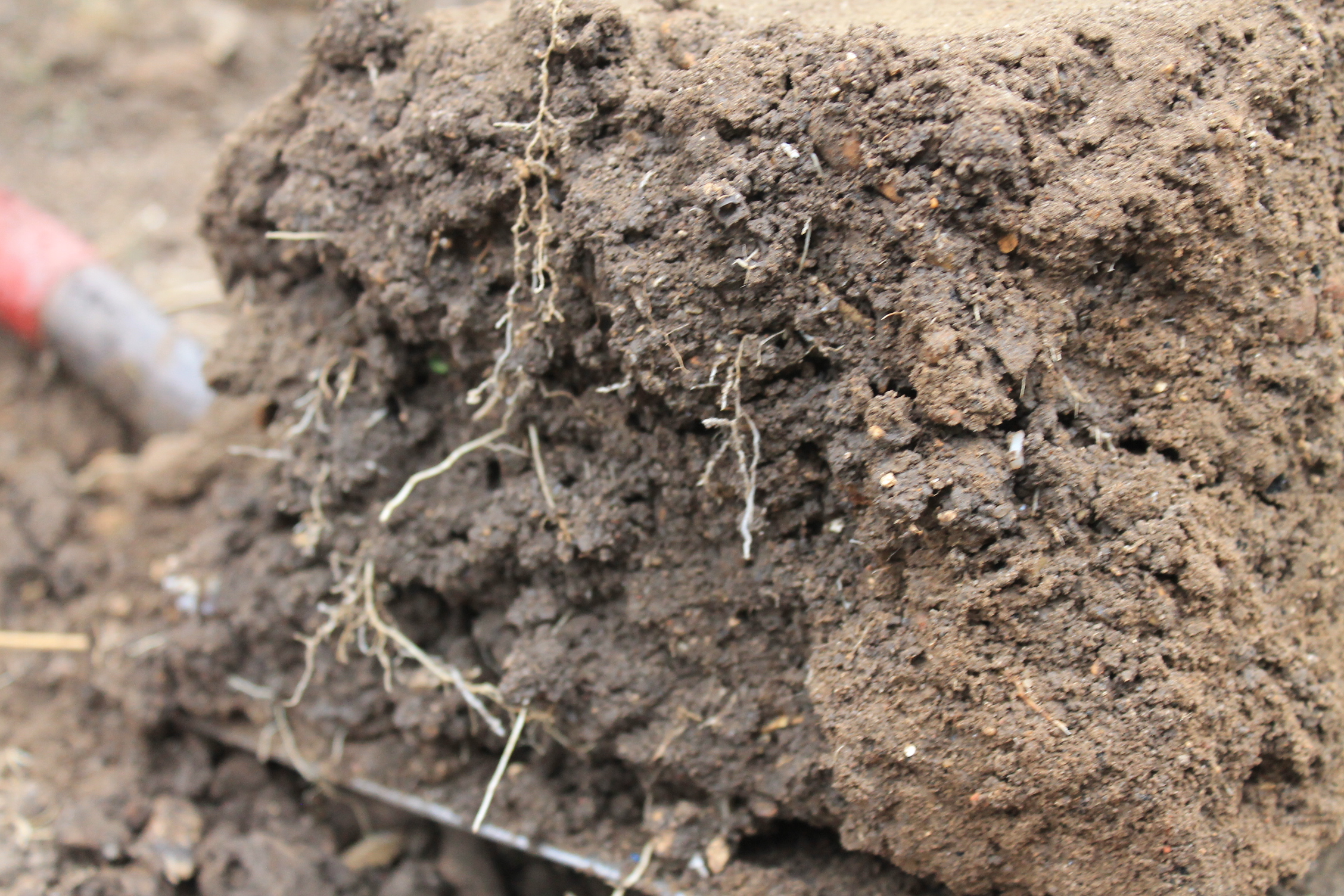 Visual Evaluation of Soil Structure Agricology