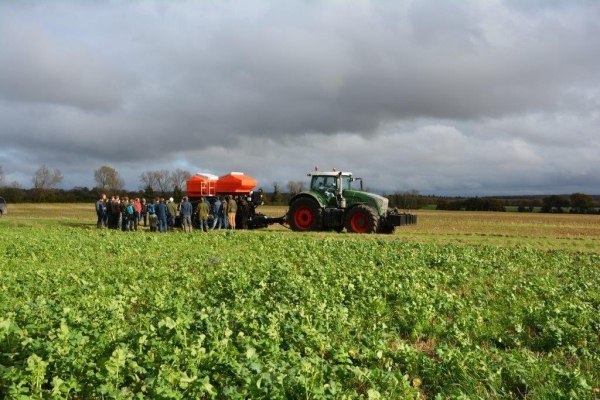 Cover crop direct drill group