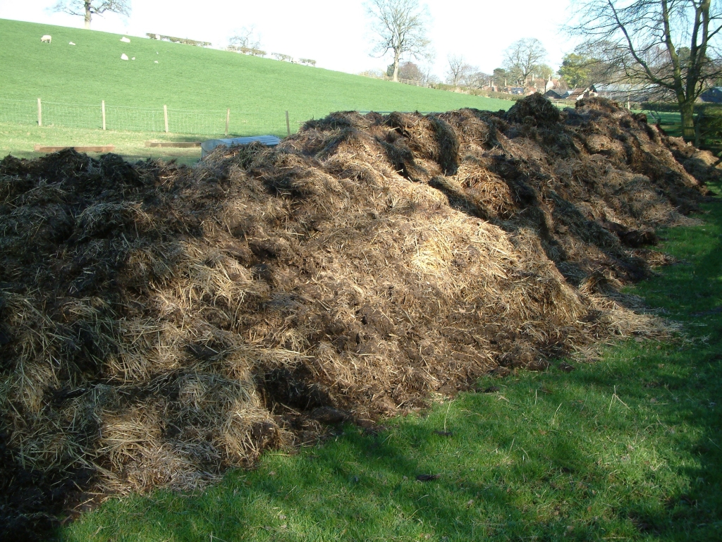 Manure heap in a field