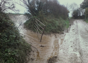 Runoff_Natural England (640x460) Runoff_Natural England (640x460)