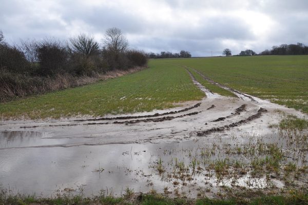 2 March 2014. Photo credit: Peter Thompson GWCT