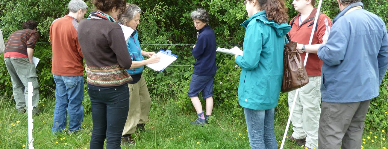 Assessing hedgerows for biodiversity