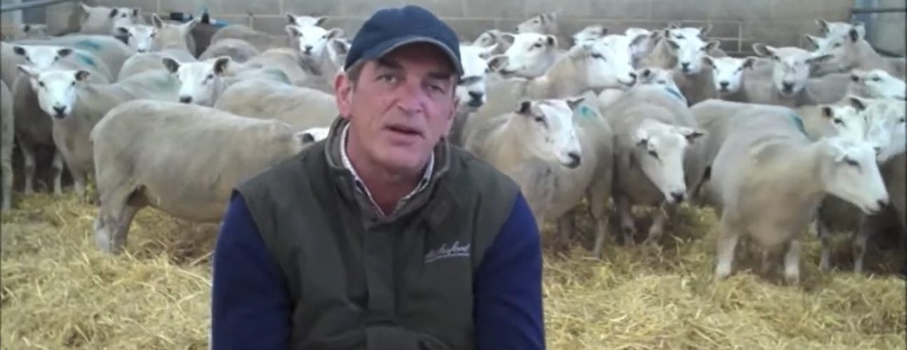 Richard Smith discusses Hedgerows, Lleyns & lambing