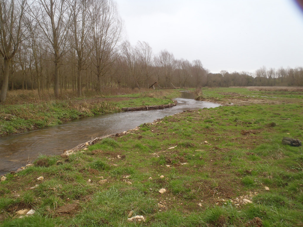 River Glyme habitat restoration - Agricology