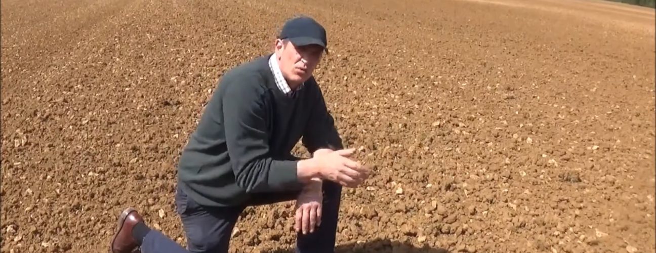 Richard Smith discusses sainfoin establishment at Daylesford farm