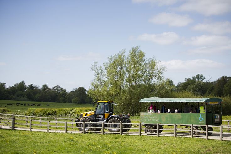 Tractor rides at Daylesford Organic Farm