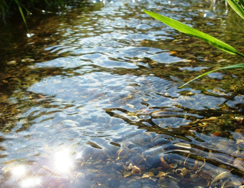 Clear water in a river