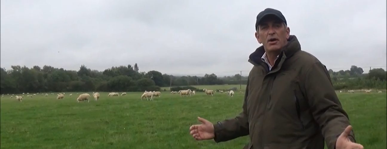 Richard Smith discusses preparing ewes for tupping