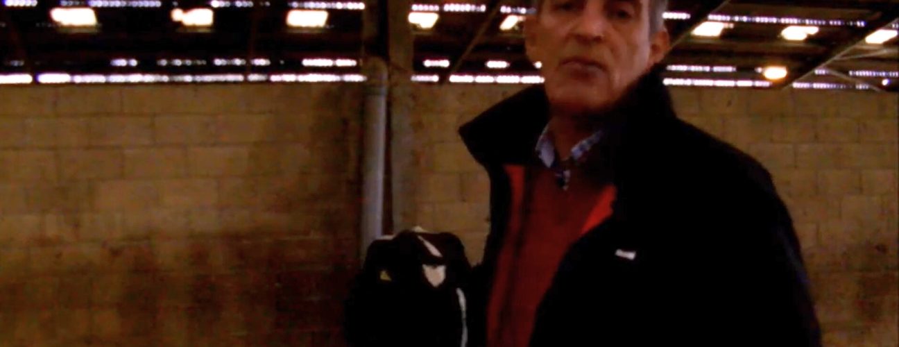 Richard Smith dairy cows