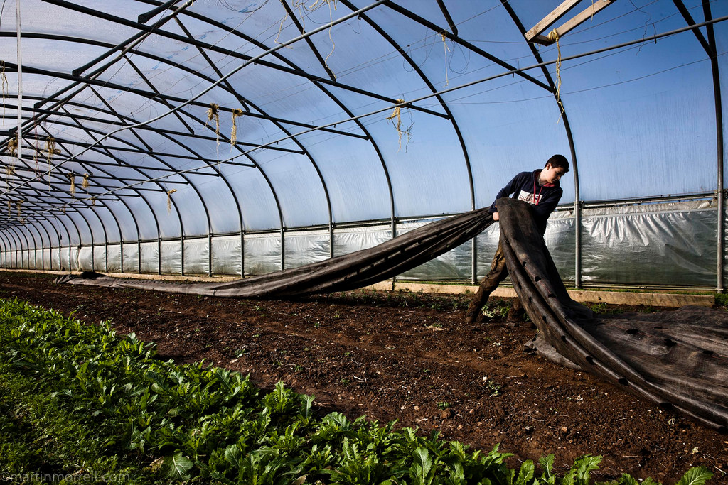 The Cool Farm Tool Agricology
