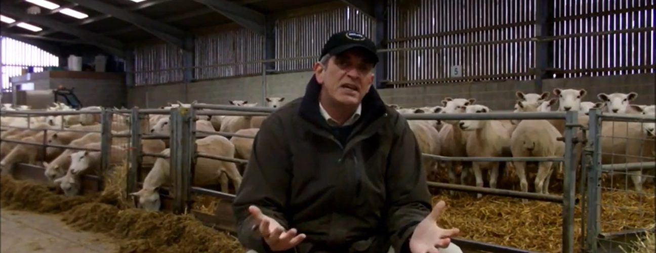 Richard Smith discusses housing and shearing sheep