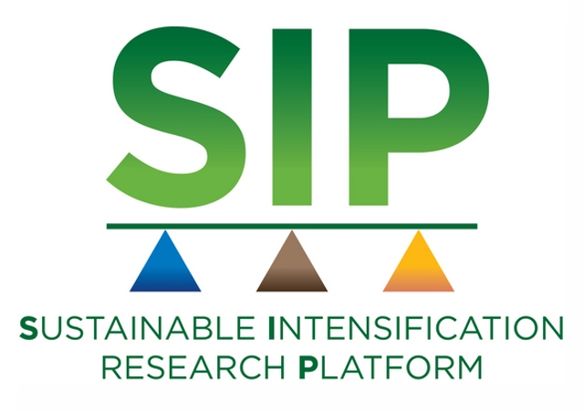 SIP (centred 3)