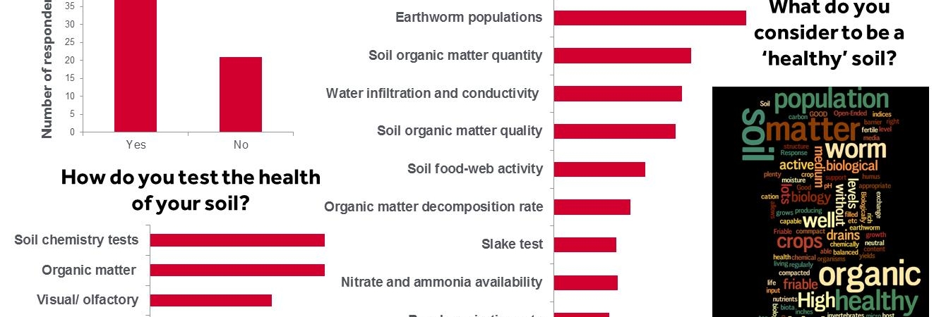 How-to-test-your-soil-health