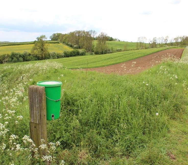 Landscape integration; feed hopper in a field margin next to a crop of winter barley