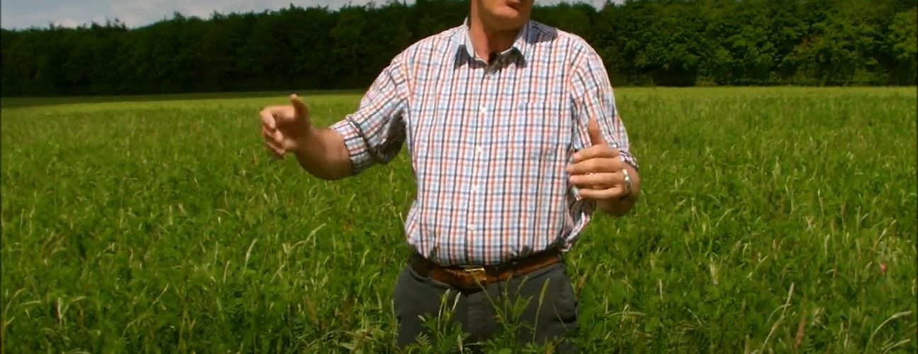 Richard Smith discusses mowing sainfoin for silage