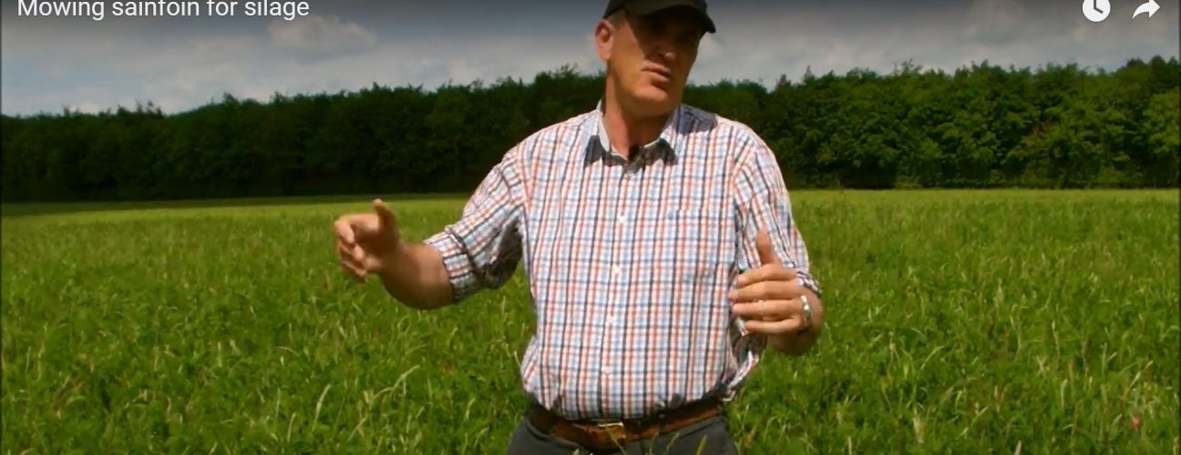 Richard Smith discusses mowing sainfoin for silage Richard Smith discusses mowing sainfoin for silage
