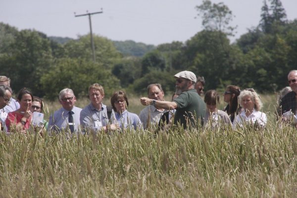 Bruce Pearce on wheat populations