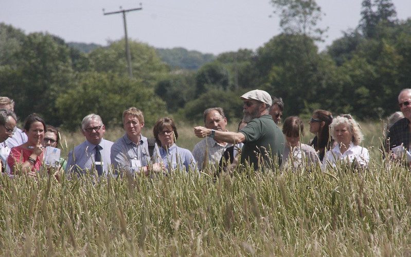 Bruce Pearce on wheat populations