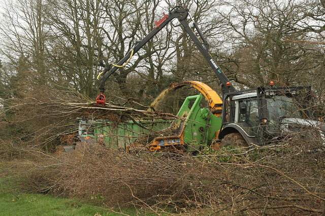 Chipping harvested material as part of hedgerow harvesting trials at Elm Farm, December 2014