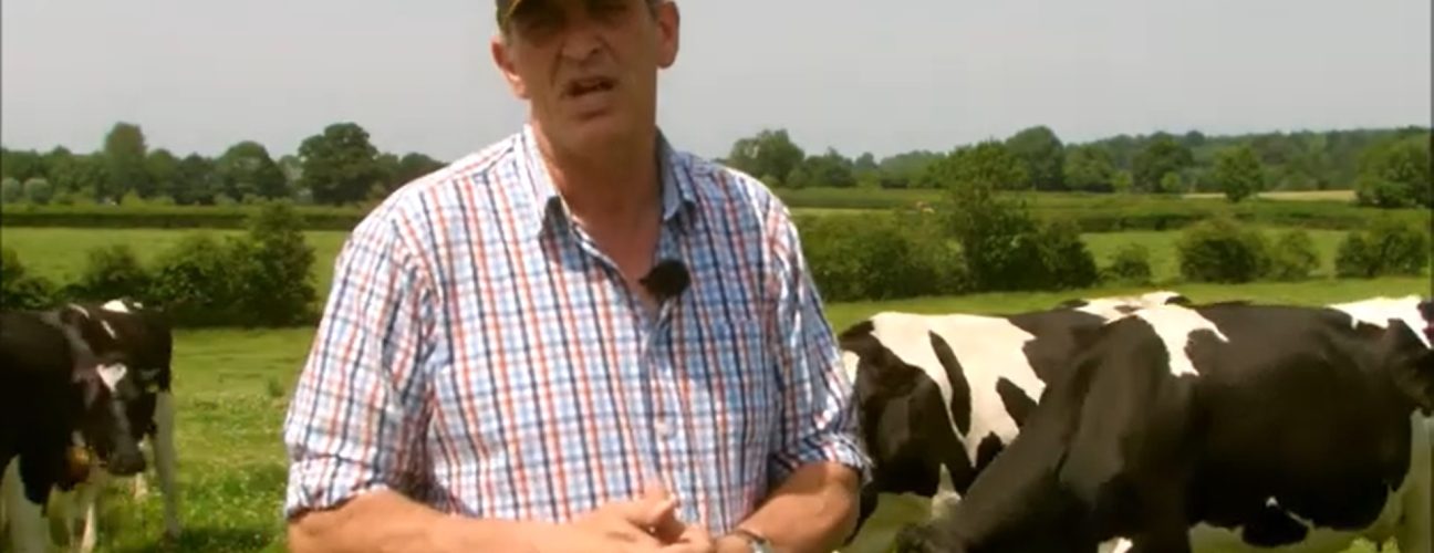 Richard Smith with dairy cows