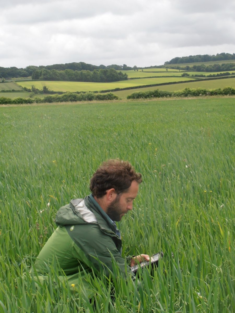 Dominic Amos in a field of oats