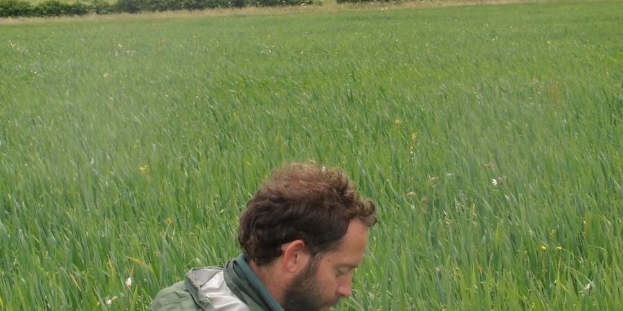 Dominic-Amos-assessing-leaf-area-index-of-oats-as-part-of-the-compost-tea-field-lab-at-Hemsworth-Farm