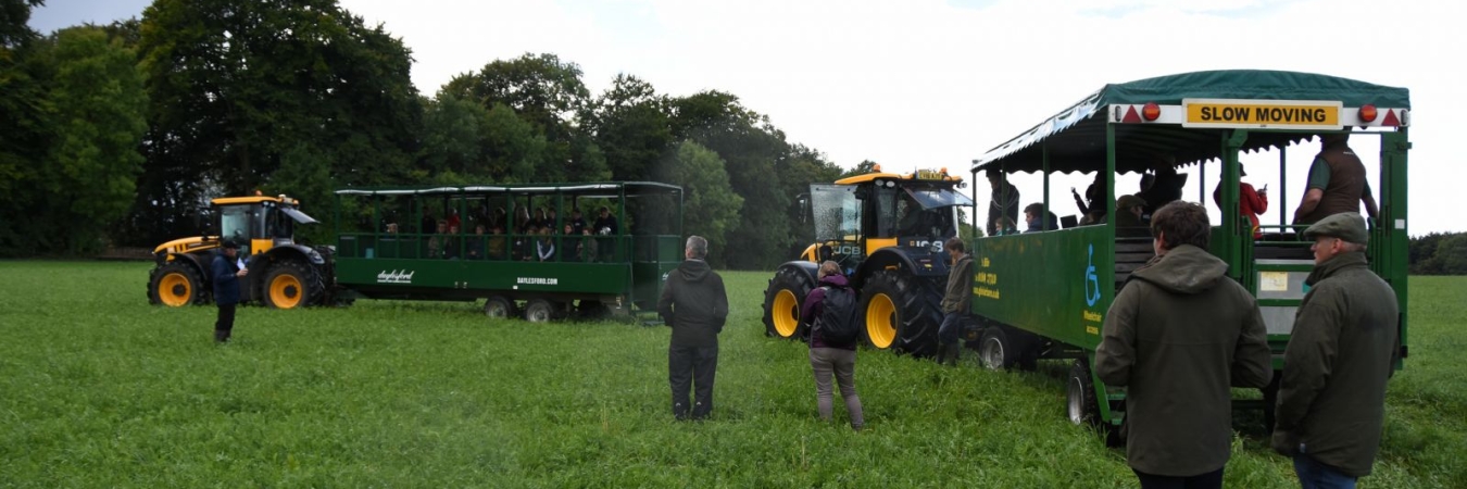 Open-day-sainfoin
