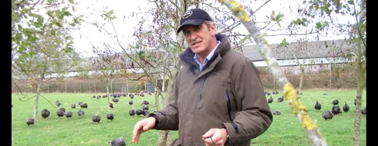 Richard Smith with free range turkeys