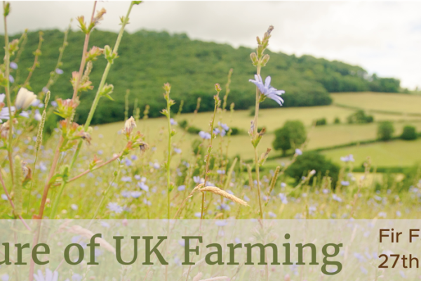 Future of UK farming