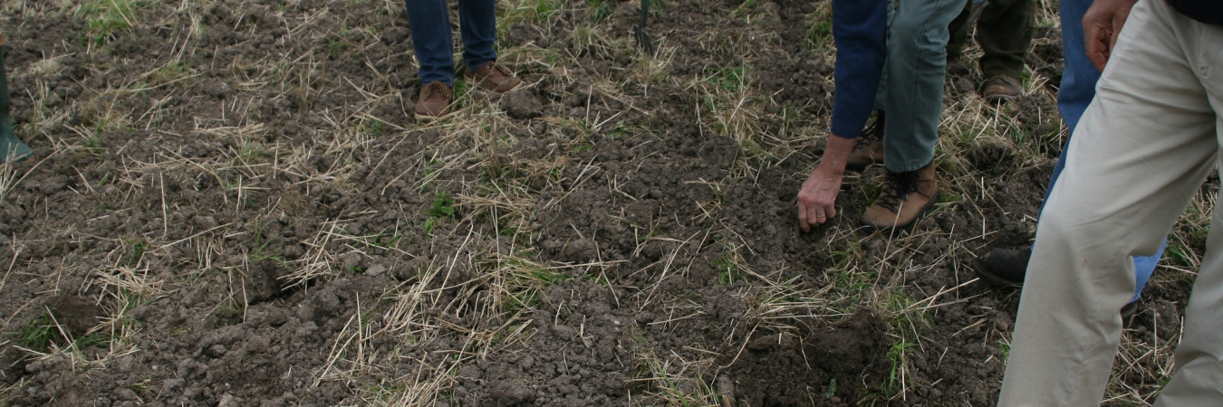 Response to soil health targets article