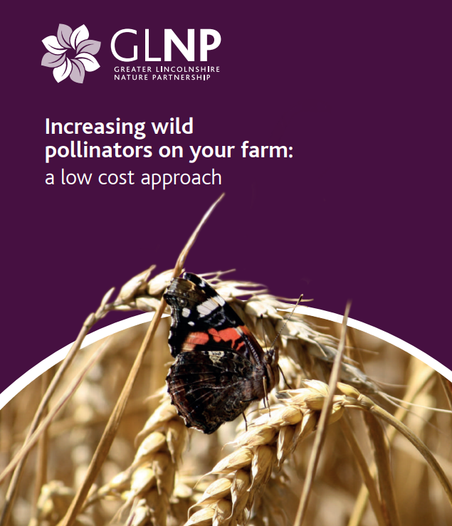 Front cover of the GLNP report 'Increasing wild pollinators on your farm'. Features a photo of a butterfly on an ear of wheat. 
