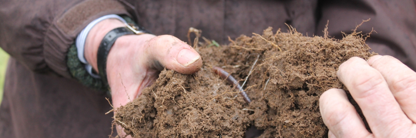 Examining soil for life