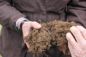 Examining soil for life
