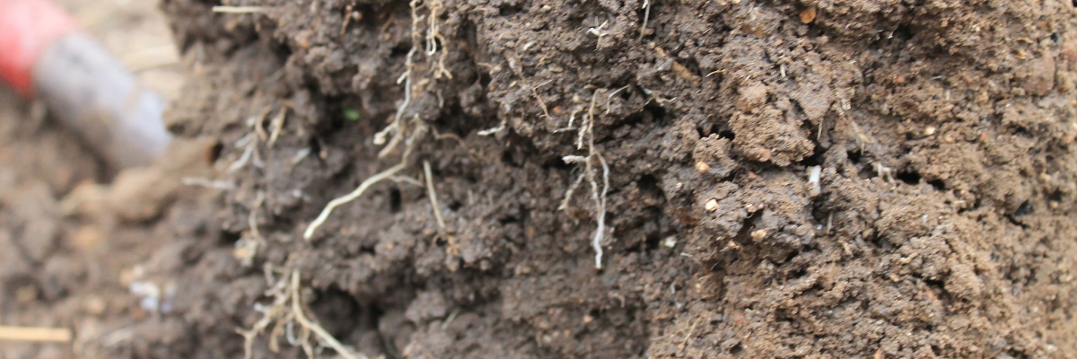 Soil Structure Assessments Masterclass - Agricology