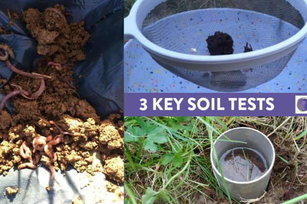 3 key soil tests