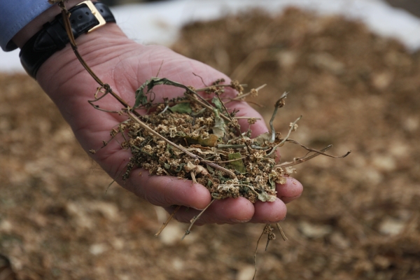 Seed-saving