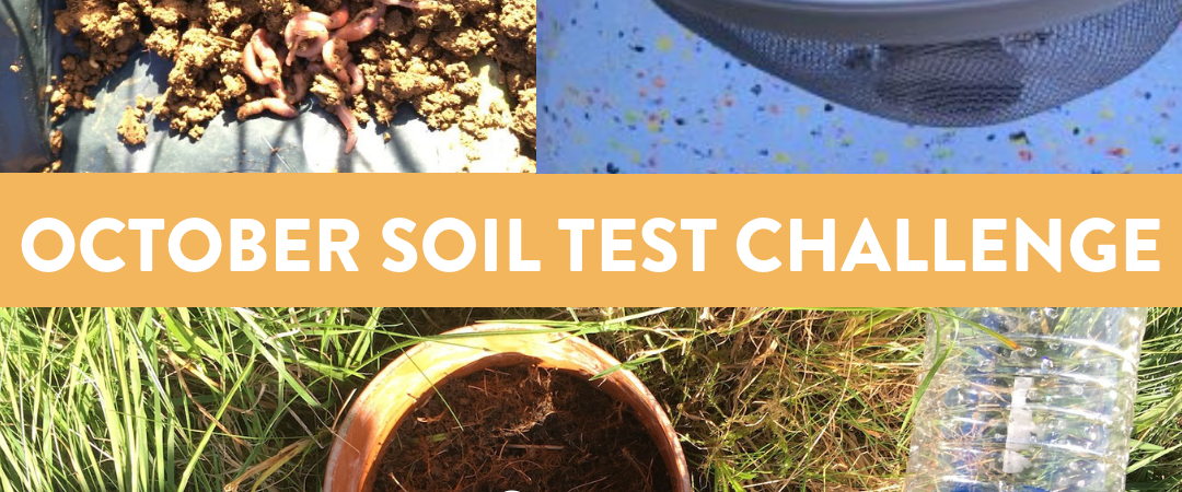 october soil test challenge (3)