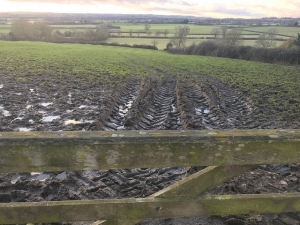 Tractor tracks in a muddy field Tractor tracks in a muddy field