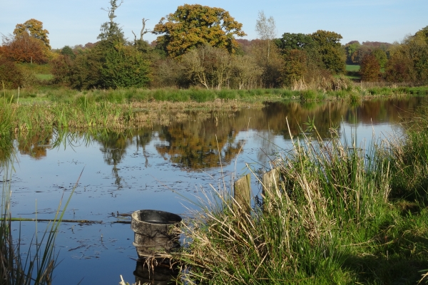 Harnessing water