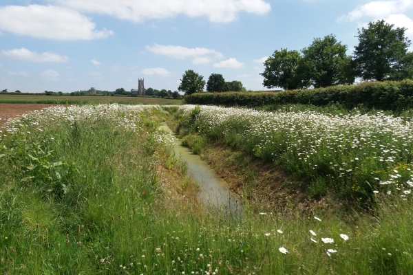 Silt trap. Photo credit: Norfolk Rivers Trust. CC BY