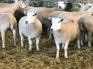 Aled's blog Aled's blog