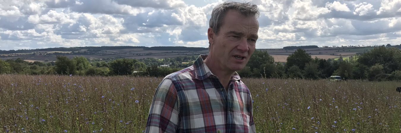 Ian Wilkinson in a flower meadow