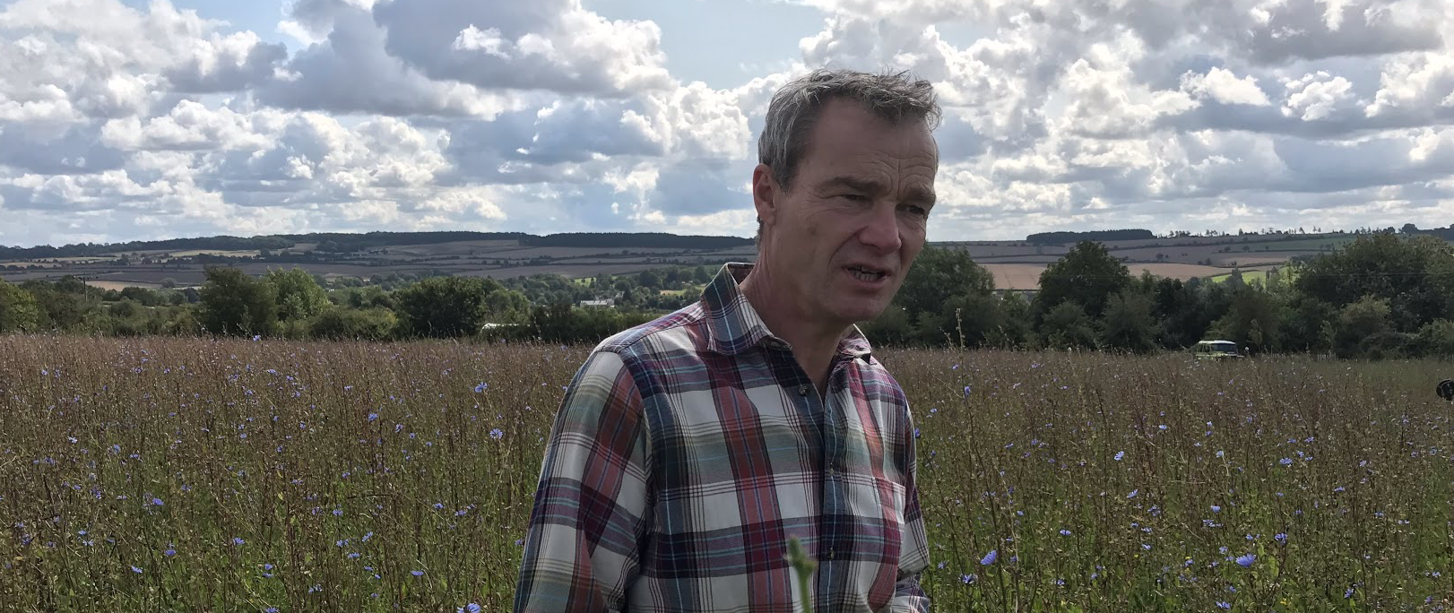 Mob Grazing Herbal Leys Agricology Vlog September 2019 Agricology