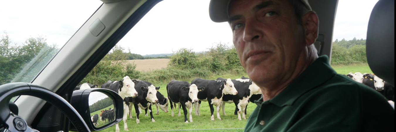 Richard Smith with his cows