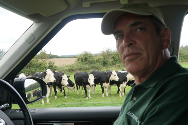 Richard Smith with his cows