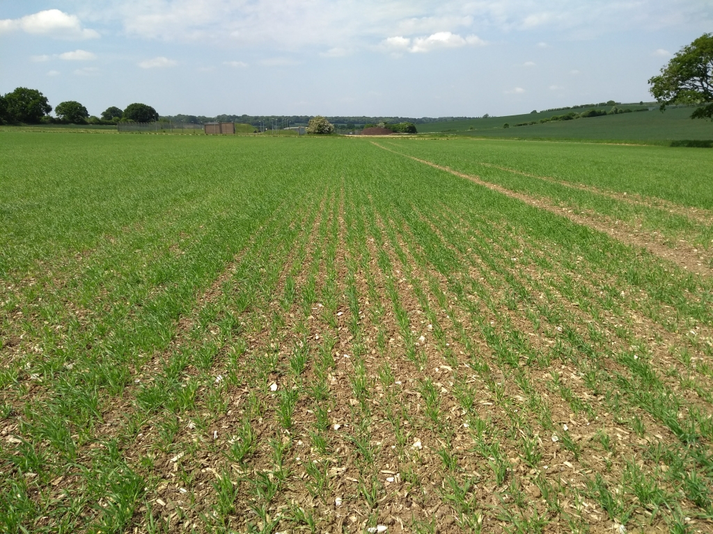 WOOdchip for Fertile Soils (WOOFS) - Agricology