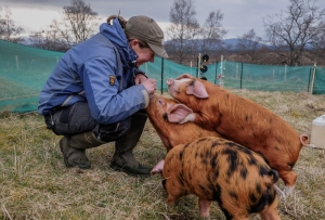Sandra and pigs - photo credit Sandra Angers Blondin
