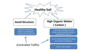 Healthy soil