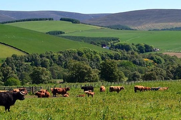 Tree planting on your farm